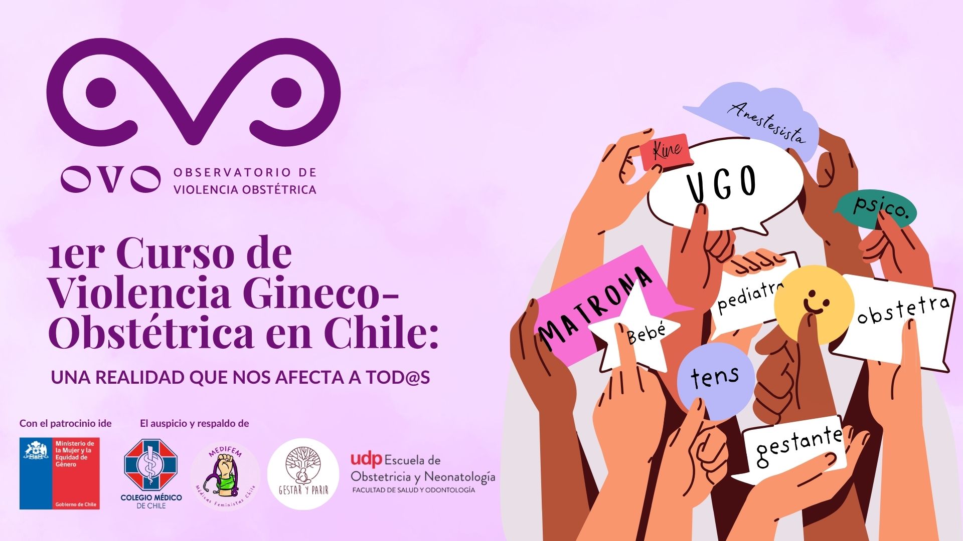 Primer Curso de Violencia Gineco-Obstétrica en Chile: